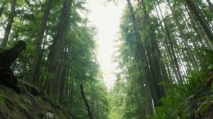 Сотня / The 100 – 2 сезон 2 серия