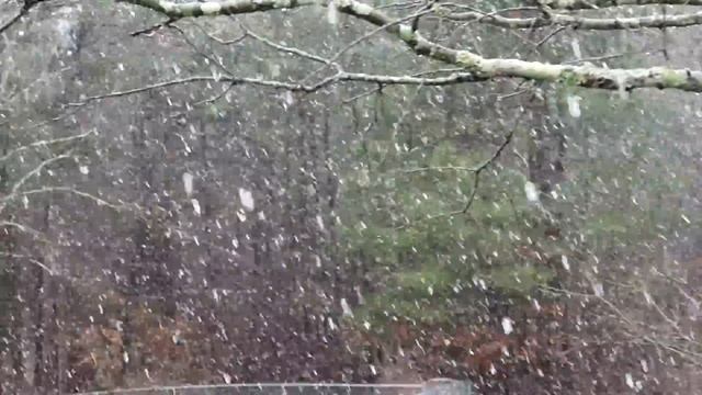 Canon G5-X Demo—Snow In Georgia