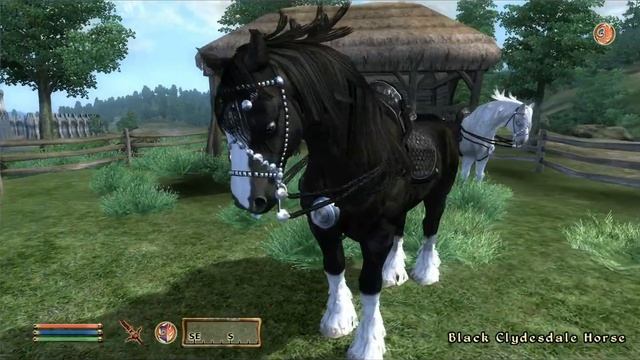 Zira's Oblivion Horse Mods - Clydesdale Horses смотреть онлайн