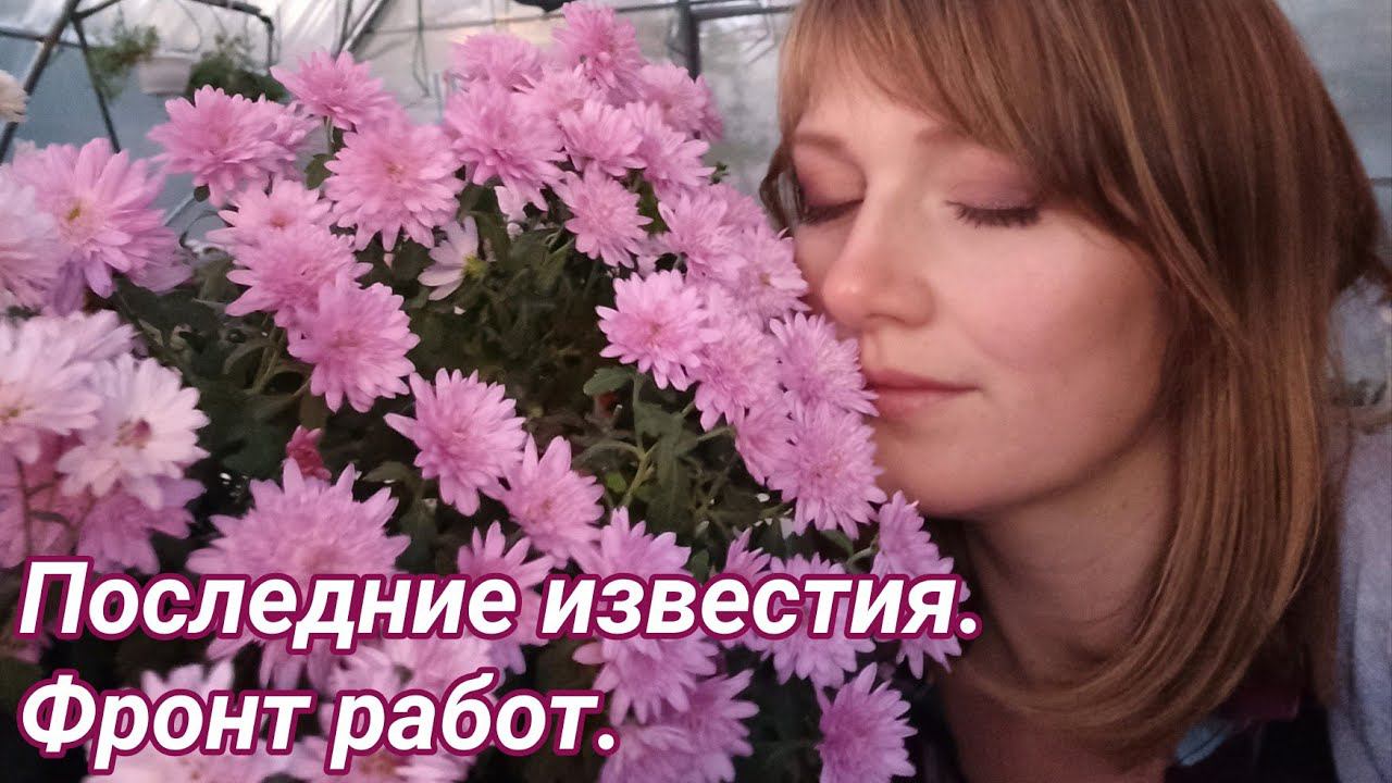 Определяю растения на ПМЖ. Фронт работ на участке.