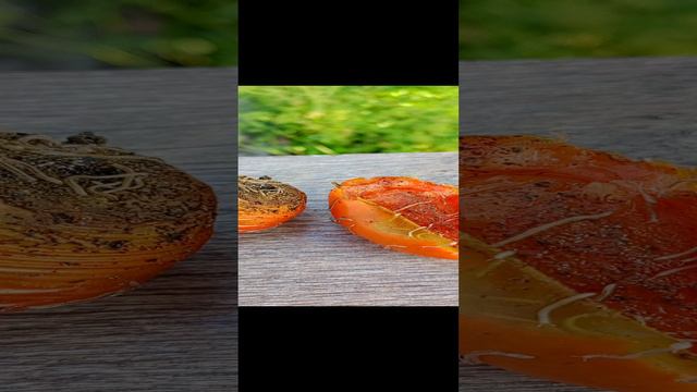 1000007420.mp4 смотреть онлайн