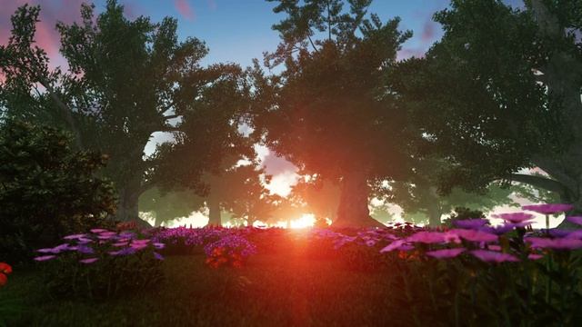 Звуки природы, шум леса, пение птиц, музыка релакс