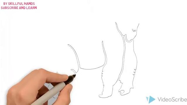 How to Draw a Gorilla / Как нарисовать гориллу смотреть онлайн