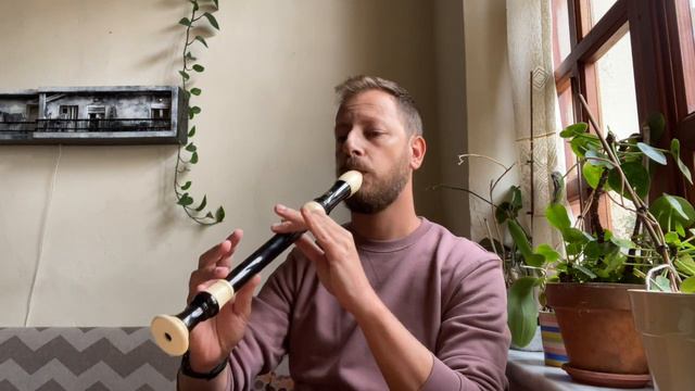 The cheapest alto recorder I found in a music store | worth or not? смотреть онлайн