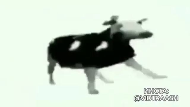 Польская корова 1 час смотреть онлайн