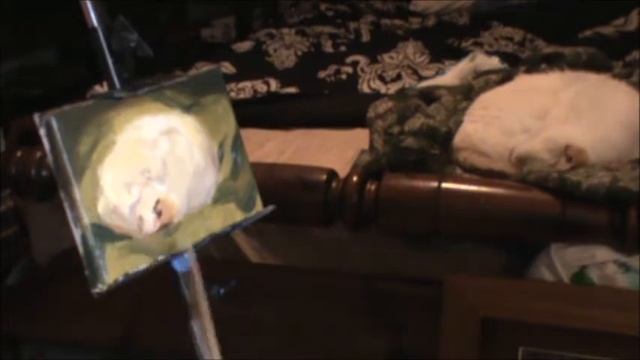 Oil Sketch of My Kitty | Timelapse смотреть онлайн