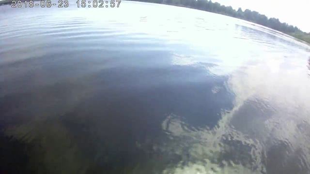 Рефтинский. Арчибальд тоже хочет купаться. смотреть онлайн