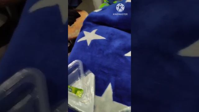 мини-обзор онигири🤪🍙🍘🍙