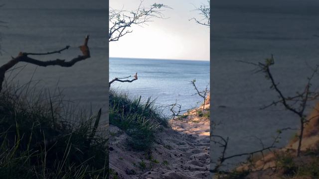 #зеленоградск #калининград #nature #love #bladerunner смотреть онлайн