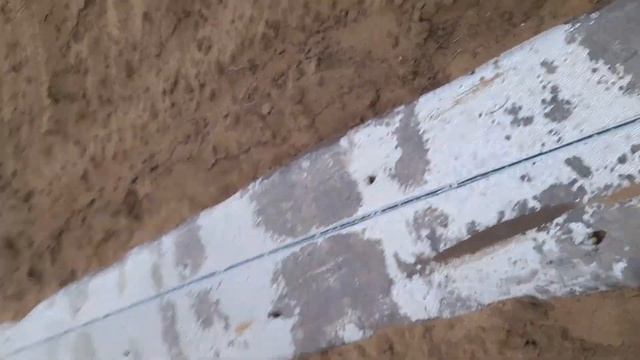 Всходы арбуза Юлия. Обзор 11 мая 2023 год смотреть онлайн