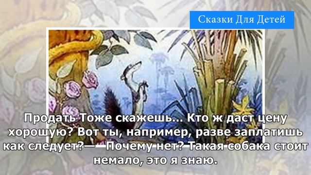 Как мангуст перехитрил крокодила и леопарда | Сказки Для Детей смотреть онлайн