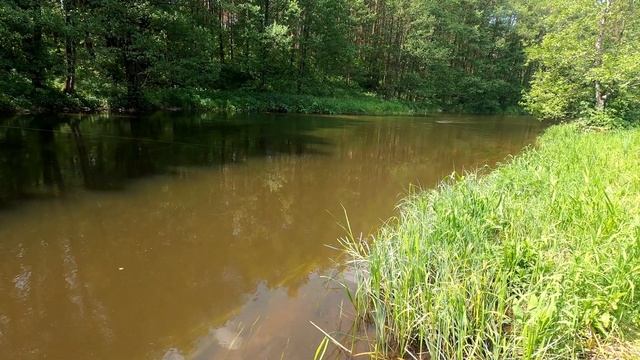 Лучшая рыбалка на голавля. Трофеи малой реки смотреть онлайн