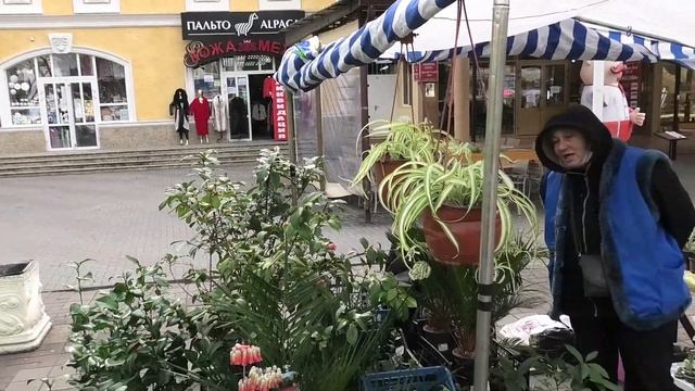 В Геленджике проходит ярмарка ландшафного дизайна с 4 по 7 марта 2021 года смотреть онлайн