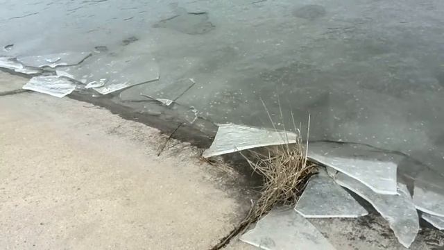 ледоход на дачном ставке 11.03.2019 г смотреть онлайн