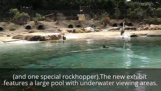 Review : London Zoo смотреть онлайн