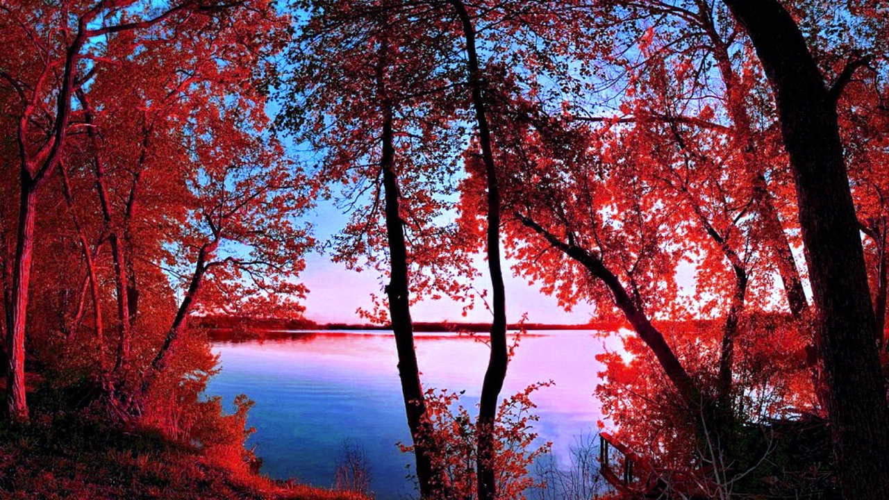 В красные тона. – Раймонд Паулс / In Red Tones. – Raymond Pauls • ВидеоКанал «exZotikA»