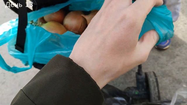 Выживаю на 1000 рублей / Дешевые овощи / Поездка в Ашан / день 13 смотреть онлайн