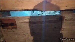 как отучить козленка от вымени мамы! строим выгул для коз. моя деревенская жизнь. country life