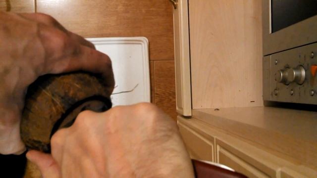 Как из кокоса изготовить домик (укрытие, горшок) в аквариум. смотреть онлайн