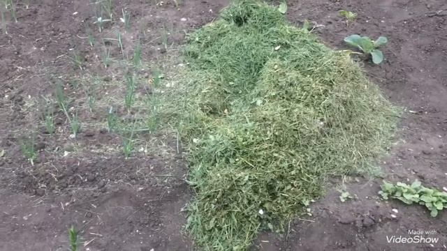 Несколько способов использования свежескошенной травы. смотреть онлайн