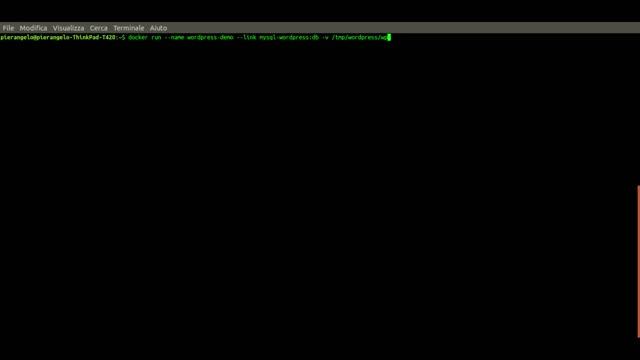 wordpress in docker смотреть онлайн