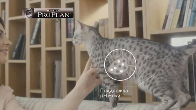 13 Реклама Purina Pro Plan История Клео смотреть онлайн