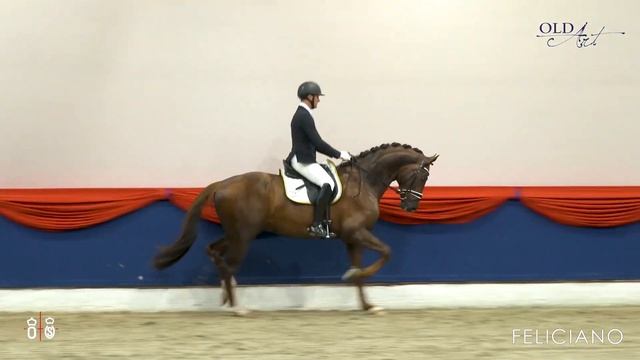 Feliciano in Vechta смотреть онлайн