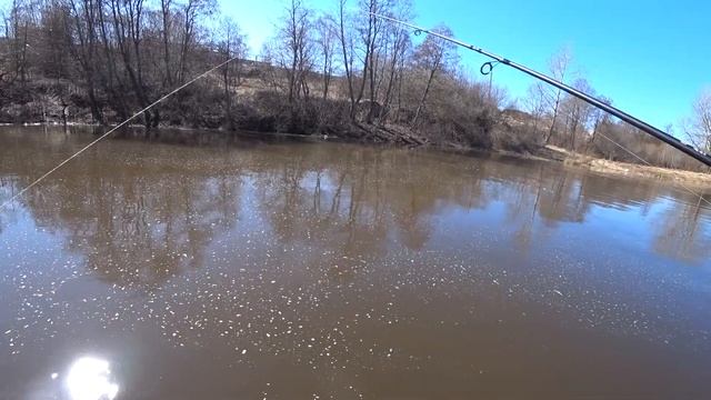 KINGFISHER KAIDA Самый дешевый спиннинг. Антисанкционный вариант спиннинга. Кингфишер 5-20 гр 210 с смотреть онлайн