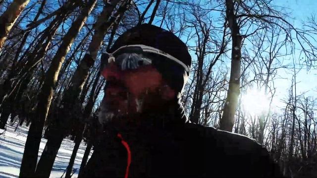 Лыжня Берёзки 2020 смотреть онлайн