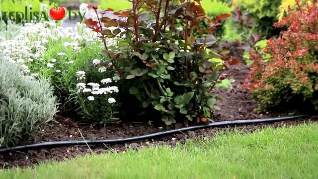 Капельный полив в Минске, Беларусь смотреть онлайн