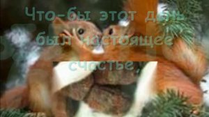 Песни #1 (Бабушке на день рождения)