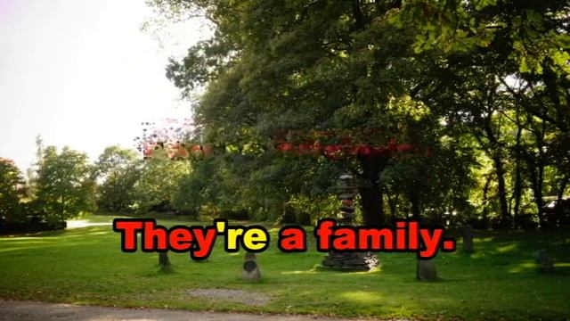 Using the Verb "be" in Present Simple | English for Adults смотреть онлайн