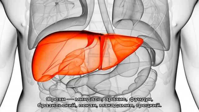 Кулинарные Испытания