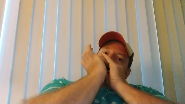 Playing a Lee Oskar G Harmonic Minor Harmonica. смотреть онлайн