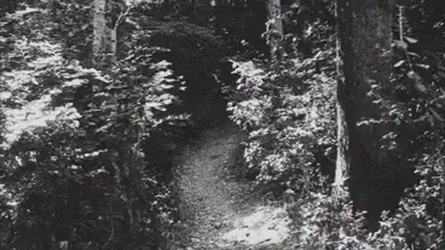 Nocturnal Depression - Un Immense Desespoir - ( Álbum : Spleen Black Metal ) - ( 2.015 ). смотреть онлайн