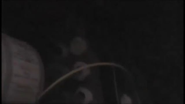 Печь ротационная MiWe Roll In смотреть онлайн