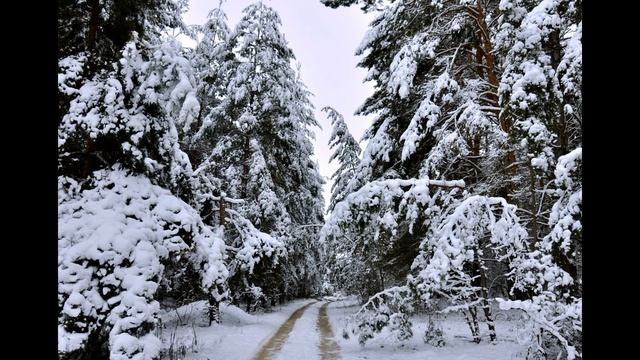 "Чародейкою зимою" (Ф. Тютчев) - Библиотека мкрн Луговая смотреть онлайн