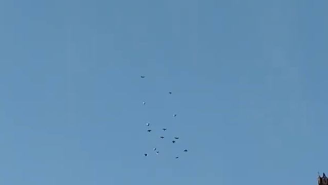 Голуби.моего друга.М.П.Гончарова.с Эртиль. смотреть онлайн