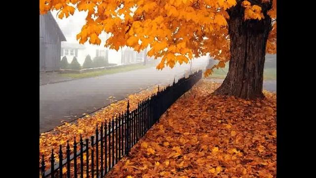 Вот такая ОСЕНЬ!!! смотреть онлайн