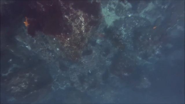 Kayaking and Freediving смотреть онлайн