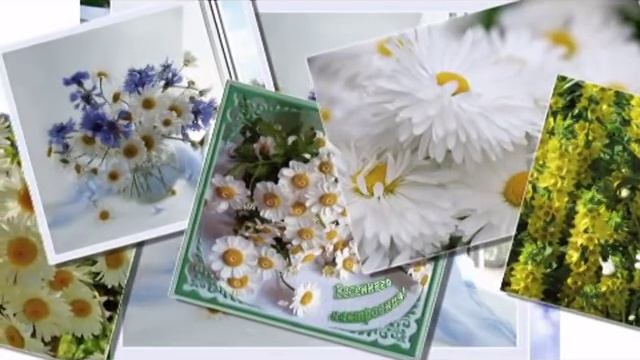 Белые ромашки ( Фристайл ) смотреть онлайн