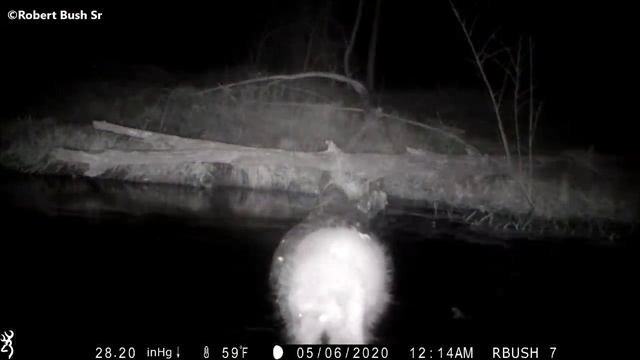 The Log 3: Tranquility Amidst the Chaos смотреть онлайн