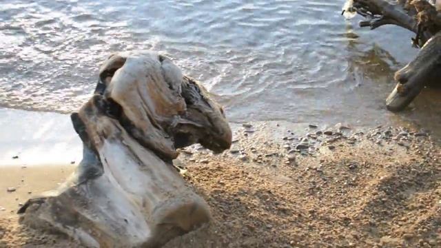 Фотошоп мастер. Уроки мастерства...