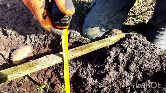 УБИРАЕМ КАРТОФЕЛЬ МОТОБЛОКОМ МТЗ-09 НА 16-х КОЛЕСАХ смотреть онлайн