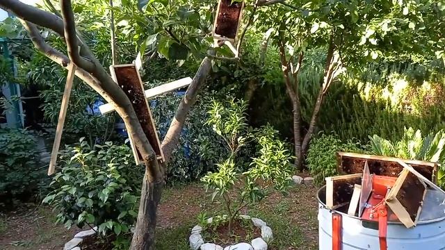 Обсушка медогонки после качки мёда. смотреть онлайн