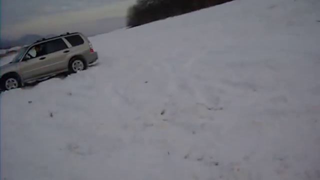 Subaru Club Georgia - MySubaru.ge