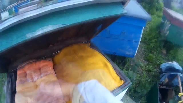 Условия успешной подставки вощины весной. смотреть онлайн