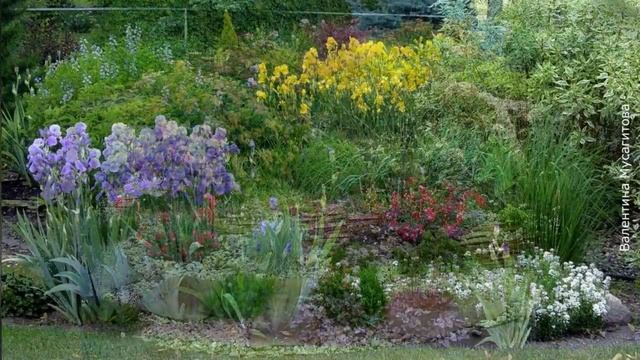 ❀ Идеи для сада. Примеры садовых композиций | Ideas for the garden. Examples of garden compositions смотреть онлайн