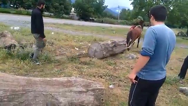 Sparo pankisi 2017 смотреть онлайн