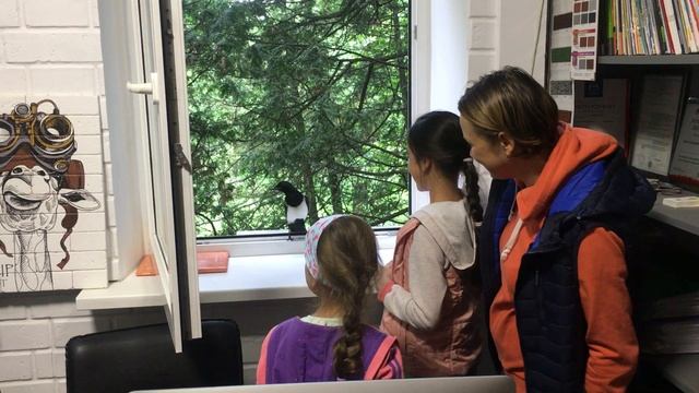 Птица Сорока залетела в окно смотреть онлайн
